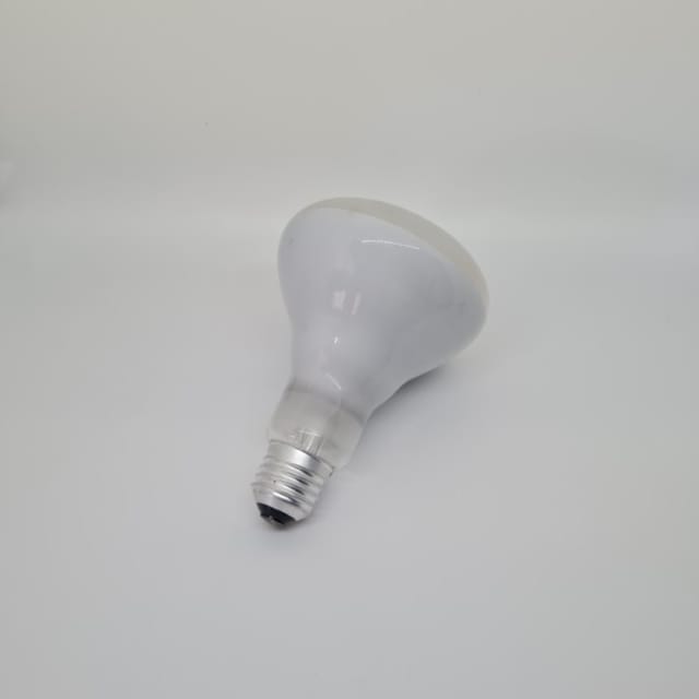 Compra REFLECTOR INCANDESCENTE INTERIOR  BR30 75W FLOODLIGHT