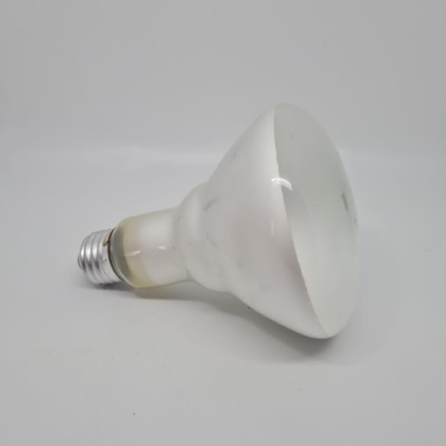 Compra REFLECTOR INCANDESCENTE INTERIOR BR30 75W SPOT (65W)
