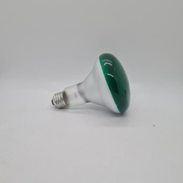 Compra REFLECTOR INCANDESCENTE INTERIOR BR30 75W COLOR VERDE