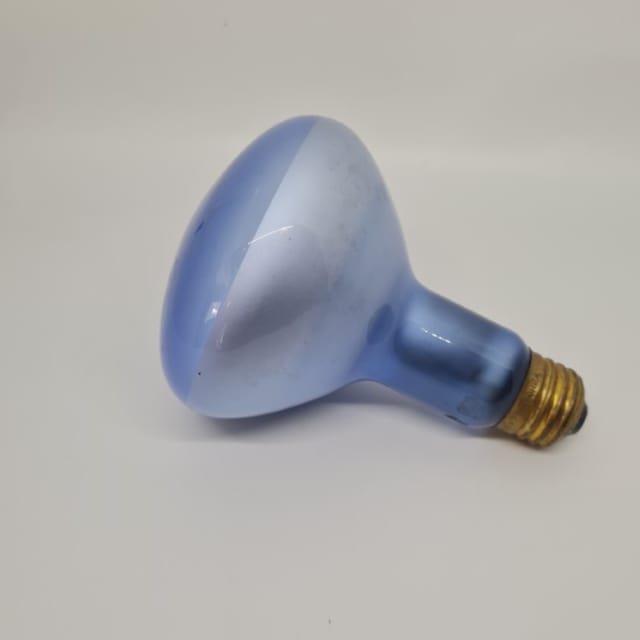 Compra REFLECTOR INTERIOR PARA PLANTAS R30 75W 75R30/PL-130V