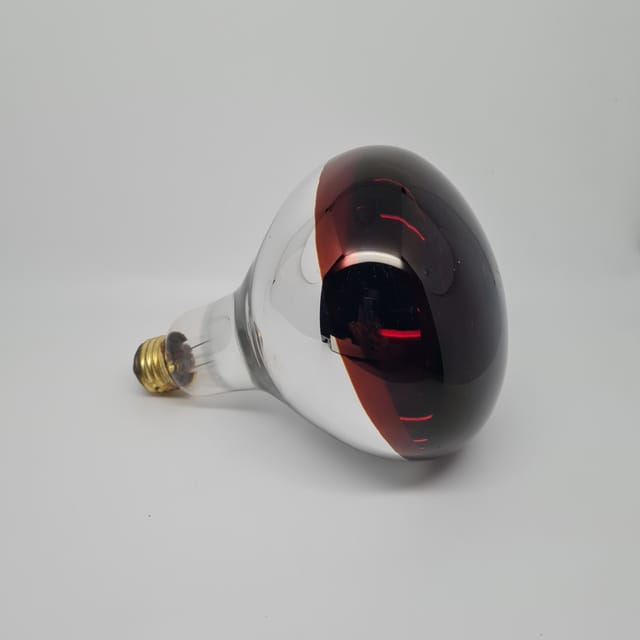 Compra REFLECTOR INFRARROJO TERAPEUTICO 250W ROJO