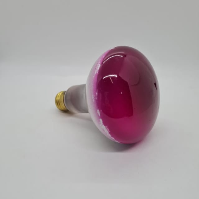 Compra REFLECTOR INCANDESCENTE INTERIOR BR30 75W COLOR ROSADO (R30)