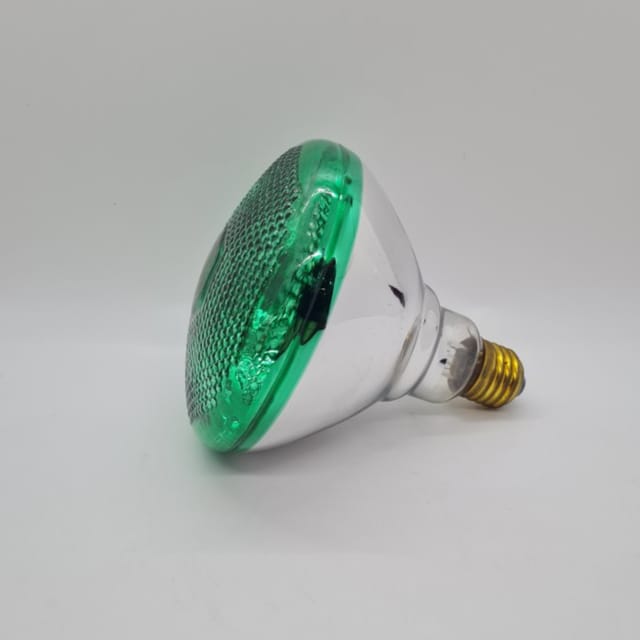 Compra REFLECTOR INCANDESCENTE INTEMPERIE 100W COLOR VERDE Liviano