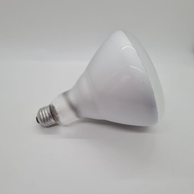 Compra REFLECTOR INCANDESCENTE INTERIOR R40 65W
