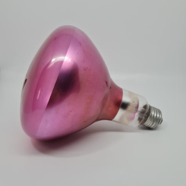 Compra REFLECTOR INCANDESCENTE INTERIOR R40 150W COLOR ROSADO