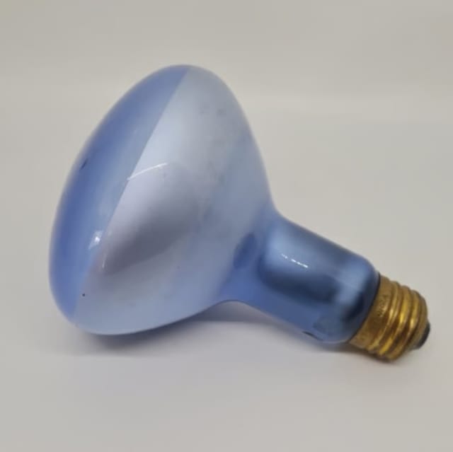 Compra REFLECTOR INTERIOR PARA PLANTAS R40 150W 150R40PG