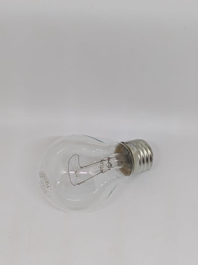 Compra BOMBILLA INCANDESCENTE CLARA A-19 100W